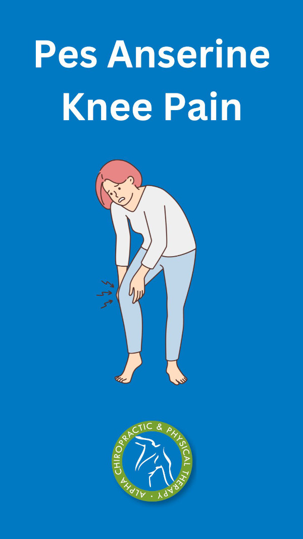 knee pain cover
